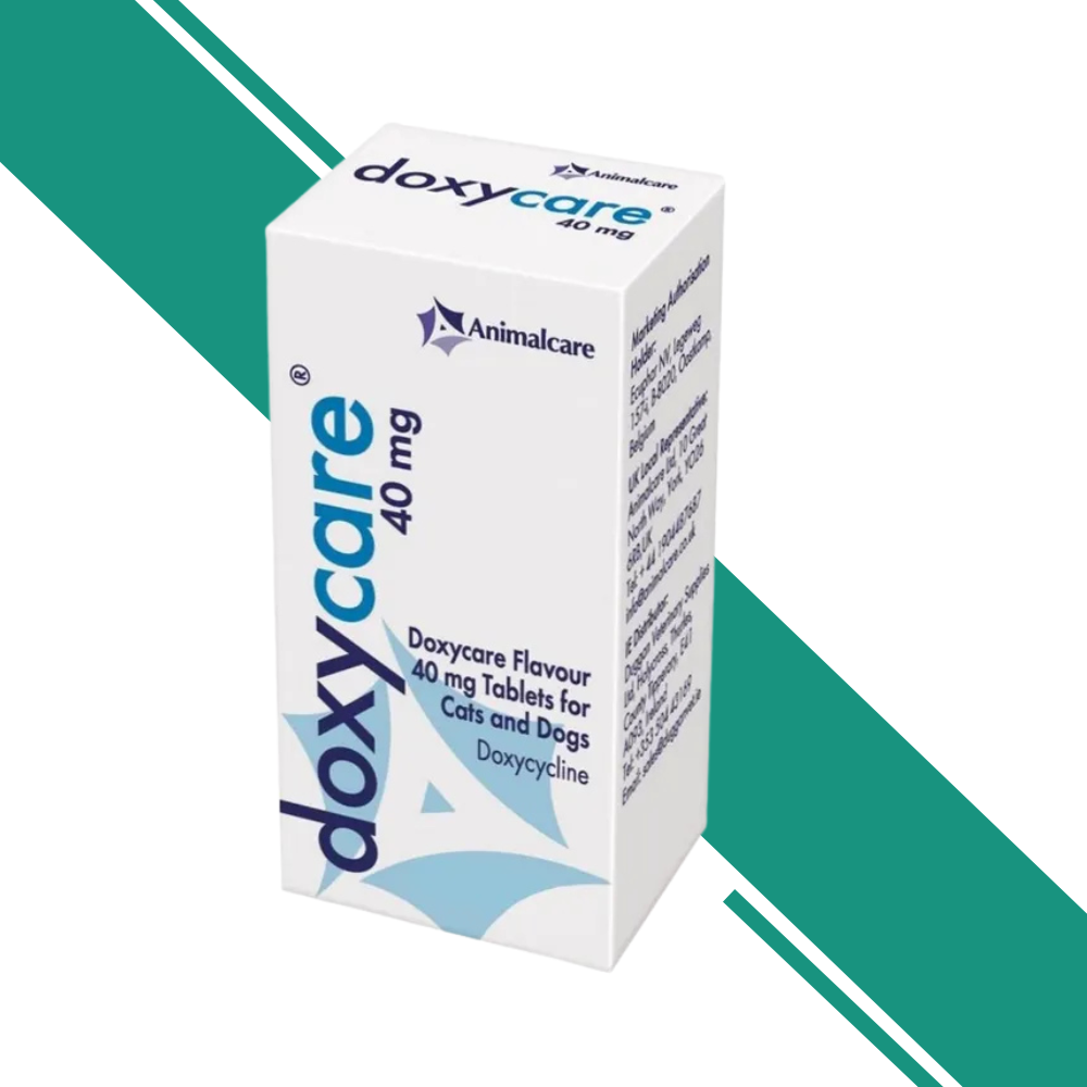 Doxycare Flavour Tablet for Cats and Dogs